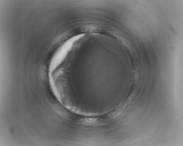 X0000115340361200911231438