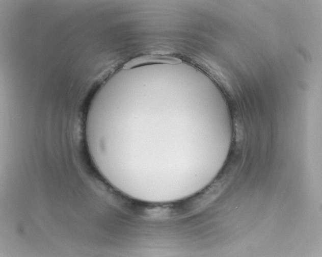 X0000115340362200911231438