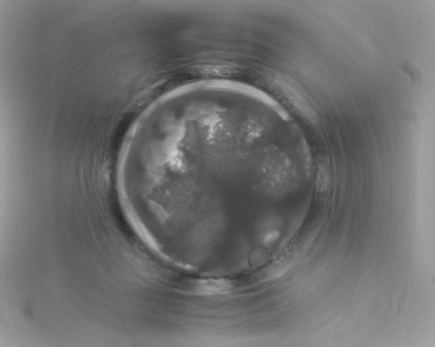 X0000115340363200911231438