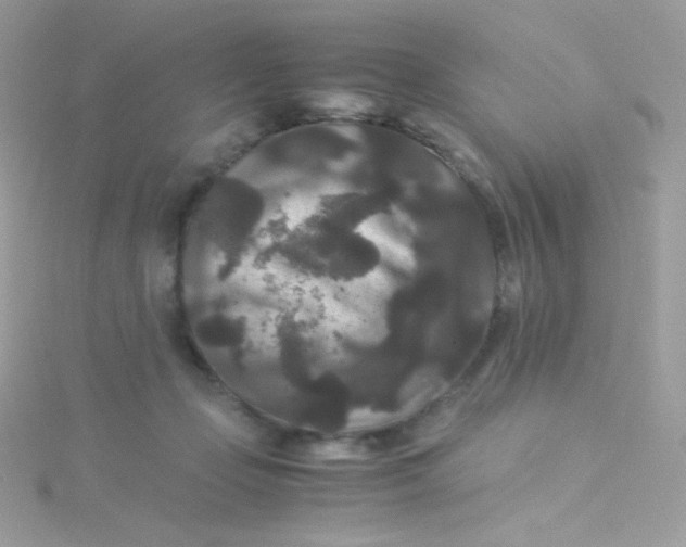 X0000115340365200911231438