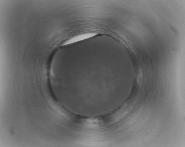 X0000115340366200911231438