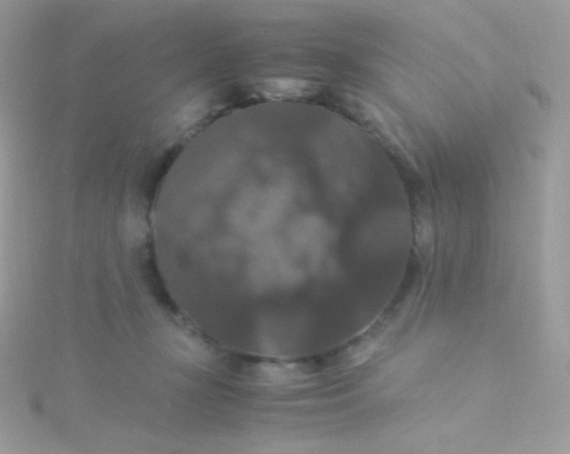 X0000115340367200911231438