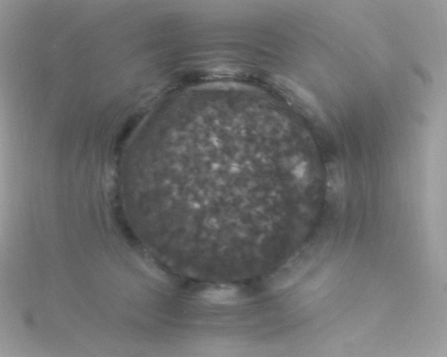 X0000115340369200911231438