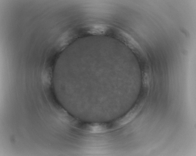 X0000115340370200911231438