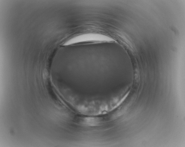 X0000115340371200911231438