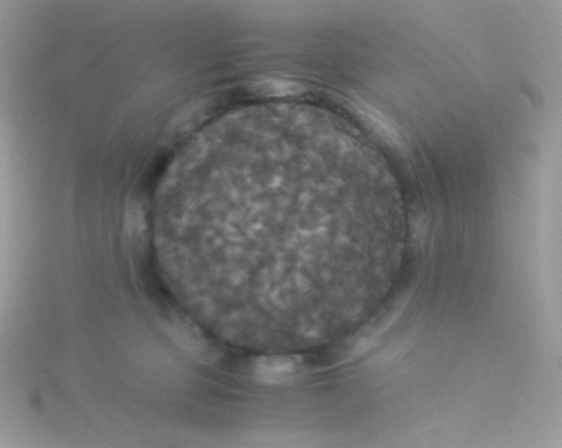 X0000115340373200911231438