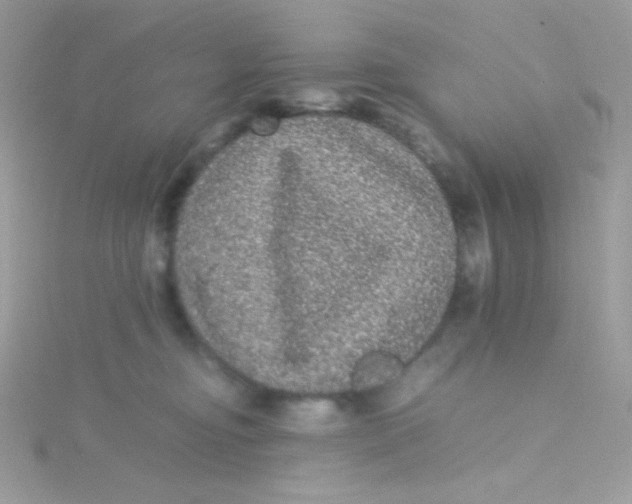 X0000115340374200911231438