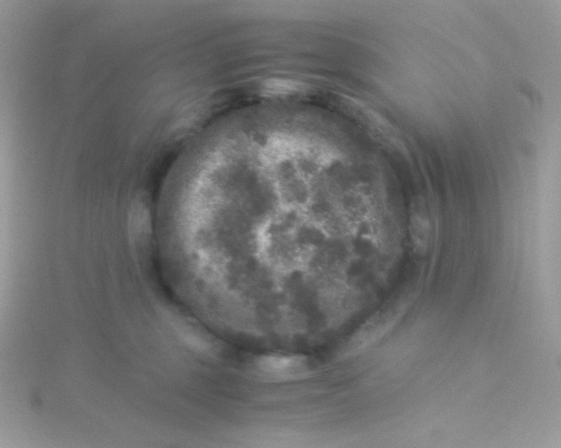 X0000115340375200911231438