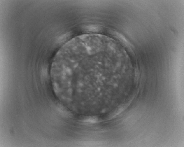 X0000115340377200911231438