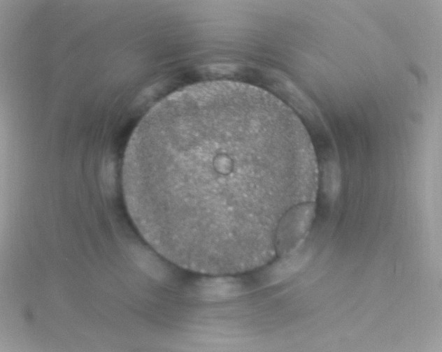 X0000115340378200911231438