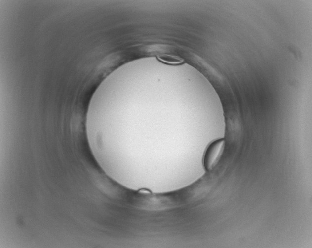 X0000115340379200911231438