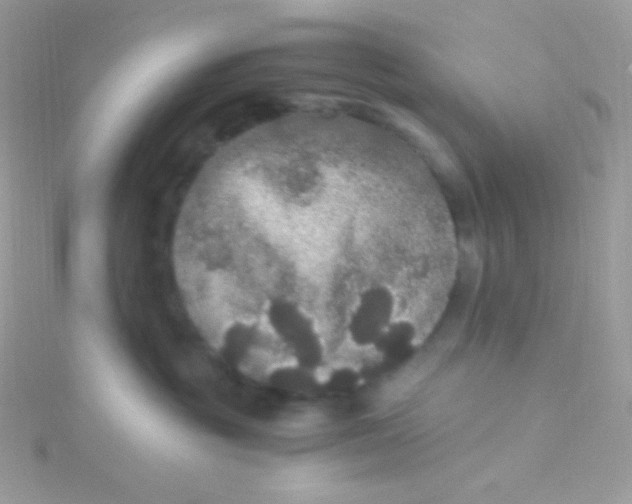 X0000115340381200911231438