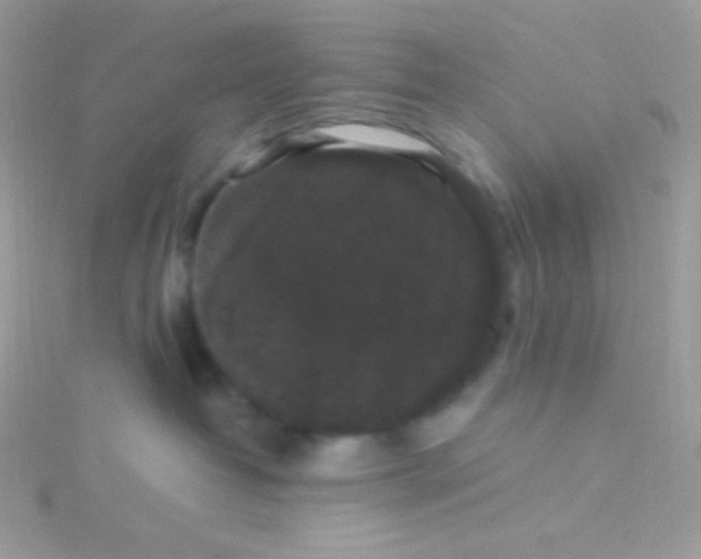 X0000115340382200911231438