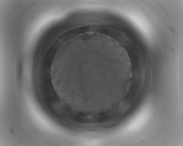 X0000115340383200911231438