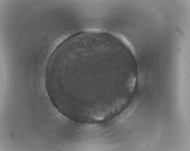 X0000115340385200911231437