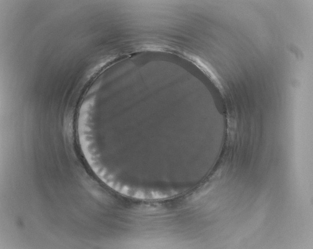 X0000115340386200911231437