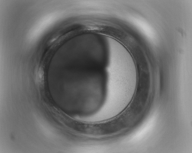 X0000115340387200911231437