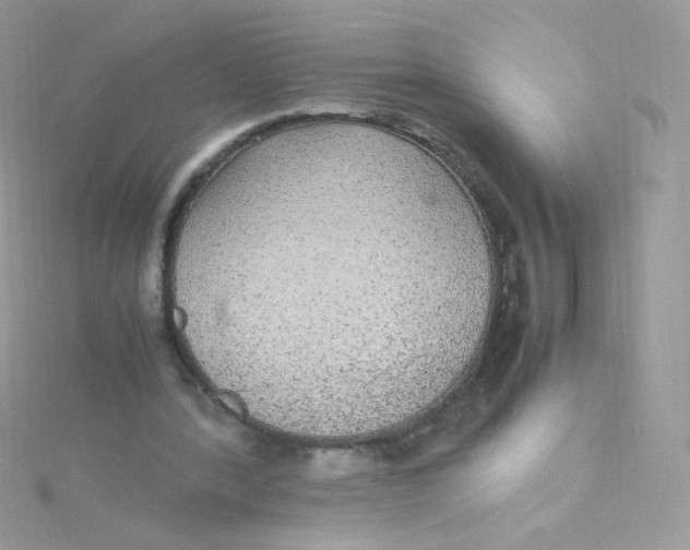 X0000115340388200911231437