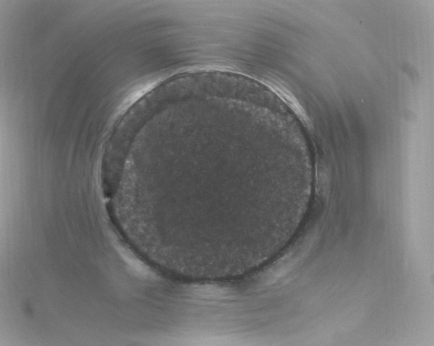 X0000115340389200911231437