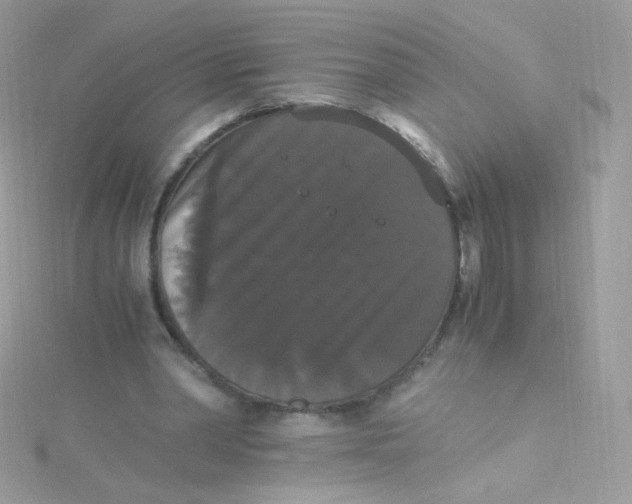 X0000115340390200911231437