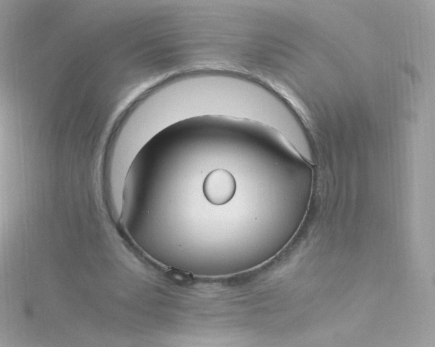 X0000115340391200911231437