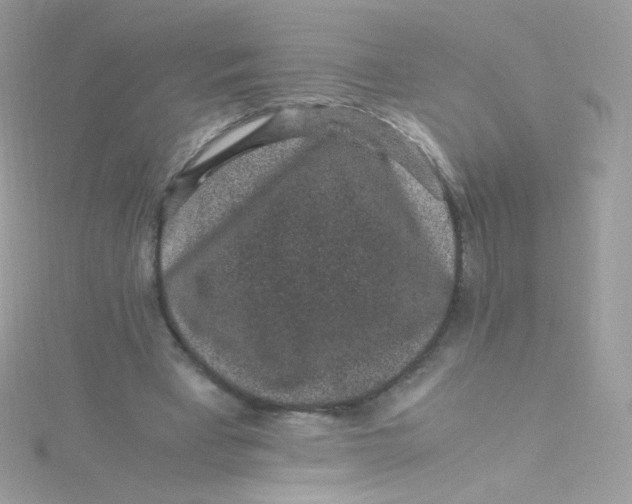 X0000115340393200911231437