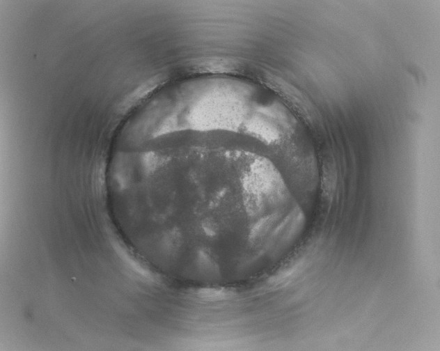 X0000115340394200911231437