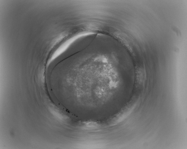 X0000115340395200911231437