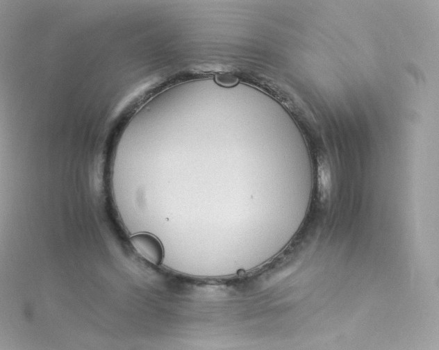 X0000115340396200911231437