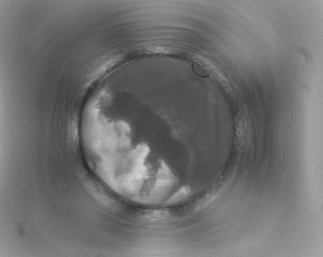 X0000115340398200911231437