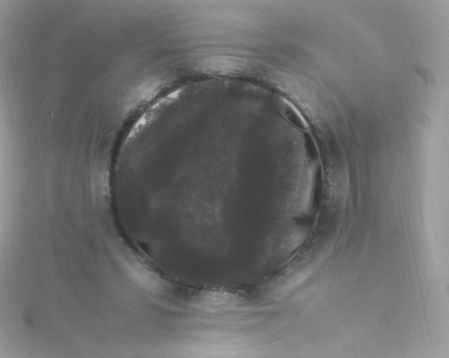 X0000115340399200911231437