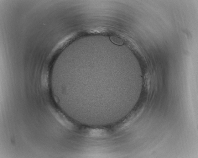 X0000115340400200911231437