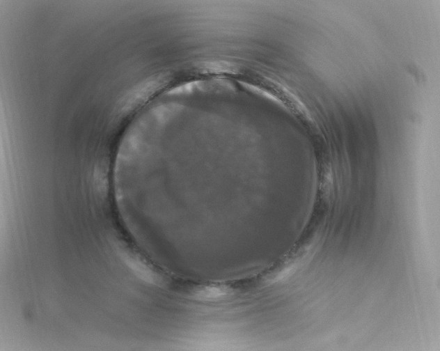 X0000115340402200911231437