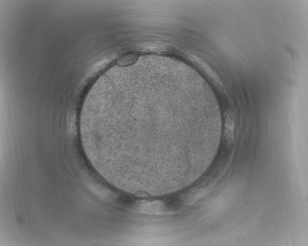 X0000115340403200911231437