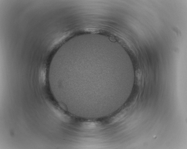 X0000115340404200911231437