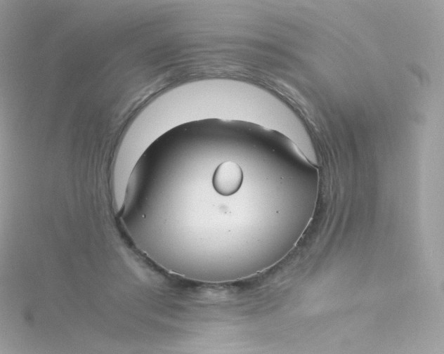 X0000115340405200911231437