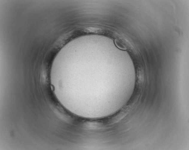 X0000115340408200911231437