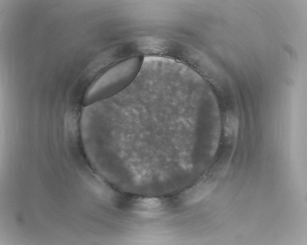 X0000115340409200911231437