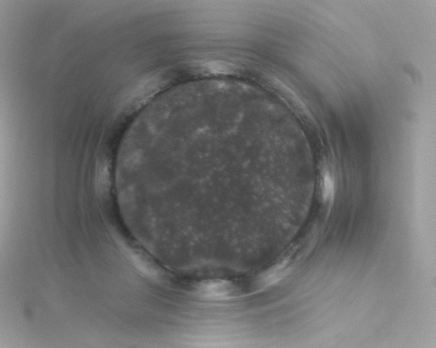 X0000115340410200911231437