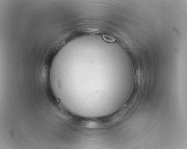 X0000115340412200911231437