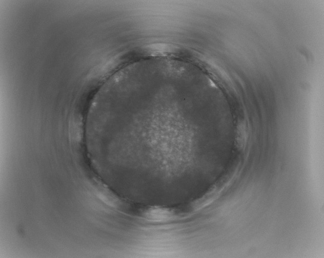 X0000115340413200911231437