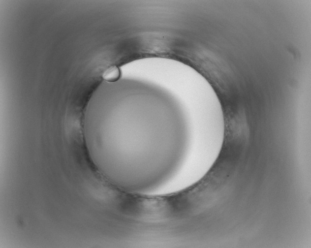 X0000115340415200911231437