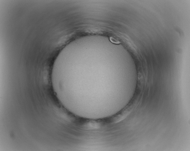 X0000115340416200911231437