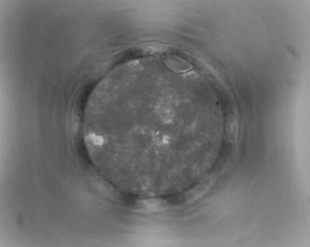 X0000115340417200911231437