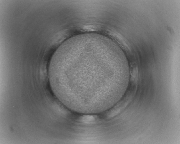 X0000115340418200911231437