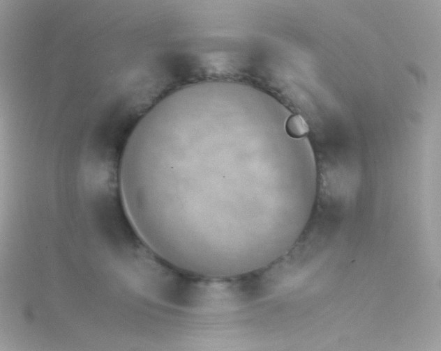 X0000115340419200911231437