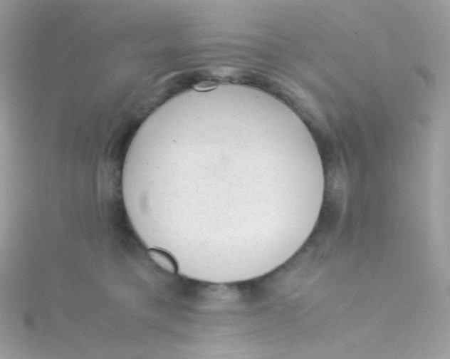 X0000115340421200911231437