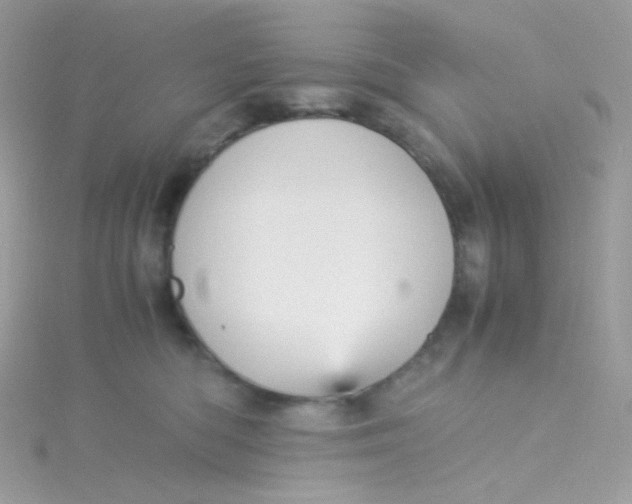 X0000115340422200911231437