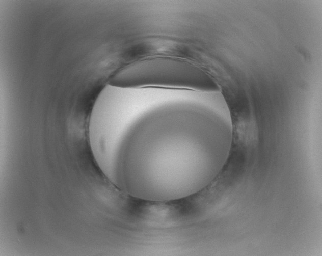 X0000115340423200911231437