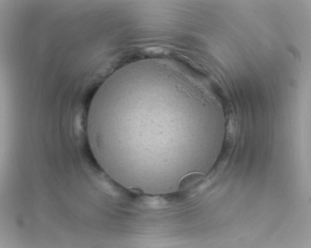 X0000115340424200911231437